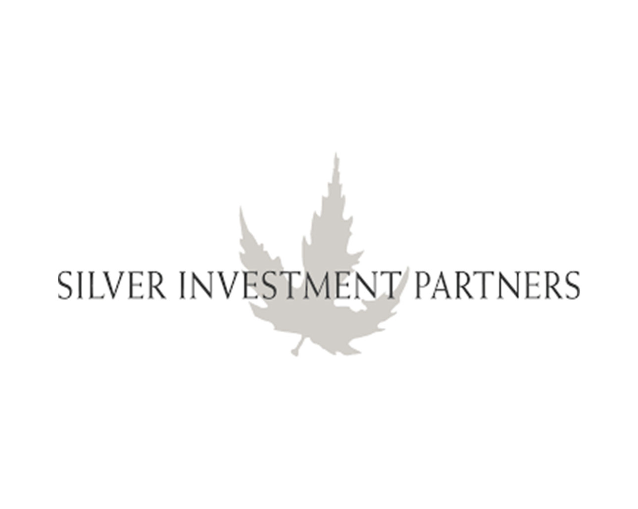 Silver Investment Partners übernimmt CryLaS